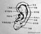 绘画基础教程《透视与比例》(2) - 素描学堂 - 苏州美术培训网论坛 苏州美术培训第一论坛