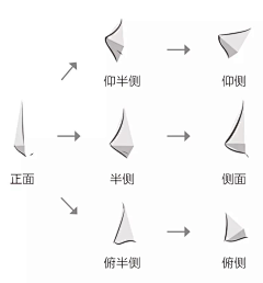 貓孃采集到教程