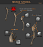 Necros Tutorial, Pavee Keawmafai : I always save every step when I create my work and this is the first full tutorial of my character I want to share with you.