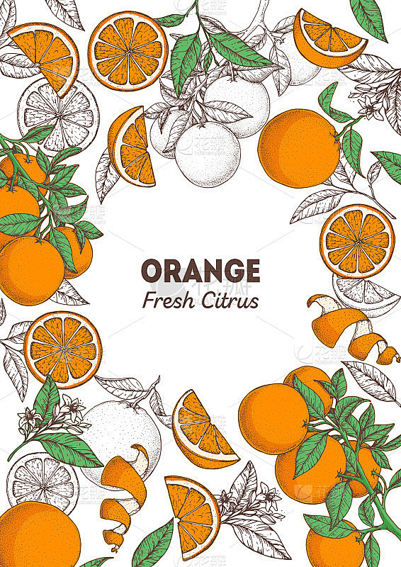 橙果手绘包装设计。橙色树框架模板。矢量插...