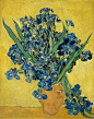 Irises
艺术家：梵高
年份：1890
材质：Oil on canvas
尺寸：92 x 73.5 CM