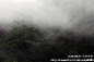 潇湘卡之：平江石牛寨（中）穿行云雾间, 东海边的蚬子旅游攻略