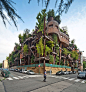 意大利的一位建筑师设计的一座“树屋”，利用了150棵树将整栋房子包围。