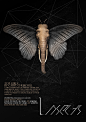 "Insects" posters on Behance