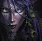 Warcraft 3 Night Elf, Justin Thavirat : Warcraft 3 Box Cover