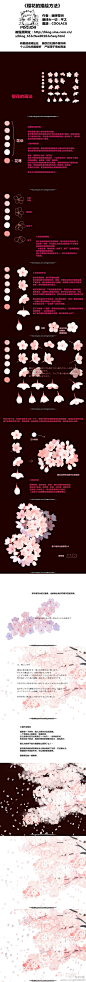 《樱花的描绘方法》来自日本的画师笹谷的插画教程，真心美。看不清请戳大图。图源：COOLACG【转载请说明出处】教程原网址：|日本——画师笹谷的插画花卉绘画教程