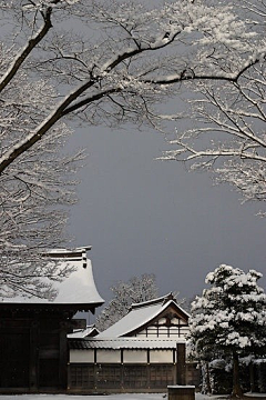 摄影者郑洳亚采集到雪景图