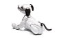 sony aibo robot dog