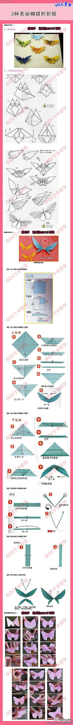 一只减肥猫采集到折纸技