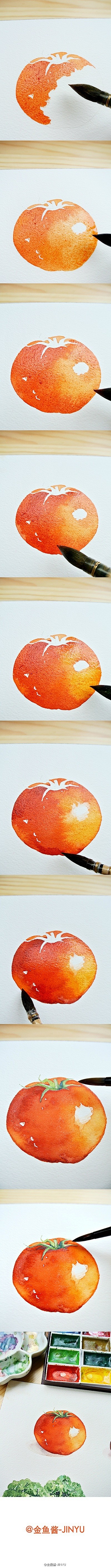 西红柿/番茄的水彩手绘过程 @金鱼酱-J...