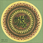 Succulent mandala by Lyth