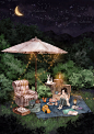 月夜的花园，微微的晚风，草虫的鸣声和收音机的乐韵…令夏日的浮躁归于平静 ~ 来自韩国插画家Aeppol 的「森林女孩日记」系列插画。