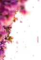 手绘素材 花朵 花环 花背景 PNG素材