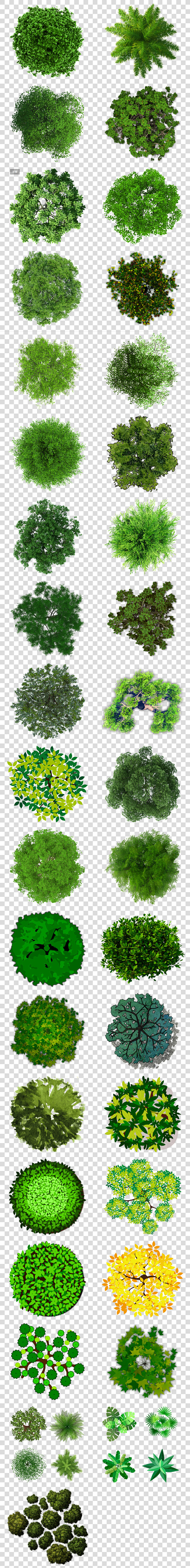园林设计效果图植物树木顶视图png背景图...