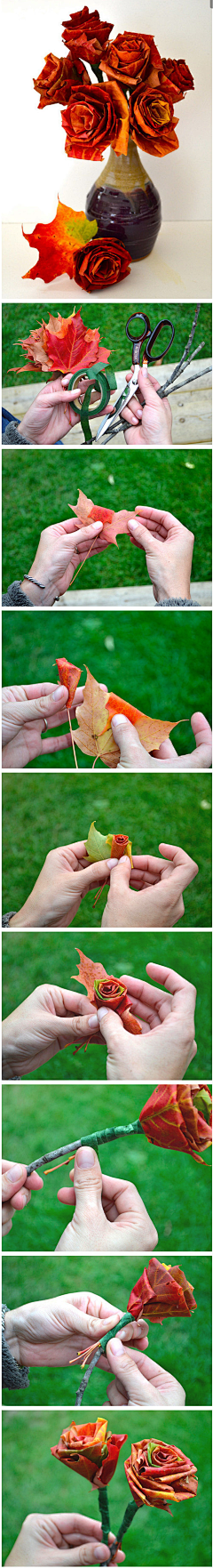 朝紅顏、暮枯骨☀采集到枫