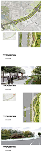 汤泉路道路景观方案设计文本