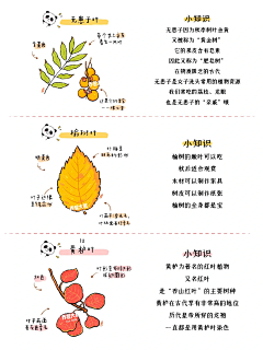 我来也_UP采集到Map地图表现