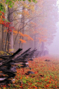 秋季中的熊山。 大烟山国家公园是美国国家公园和联合国教科文组织世界遗产跨越大烟山的山脊线