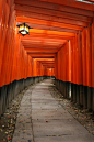 Fushimi Inari Shrine, Kyoto, Japan日本京都伏見稲荷大社千本鳥居。伏见稻荷大社是深受京都人爱戴的神社之一，是全国稻荷神社的总社，也是京都最古老的神社之一。那绵延山头达数公里的千本鸟居，这群数量惊人的鸟居据说高达万座以上一直延伸到稻荷山顶，真的是非常惊人。在电影《艺伎回忆录》就取有此景。 #攻略# #古镇# #国外##日本#
