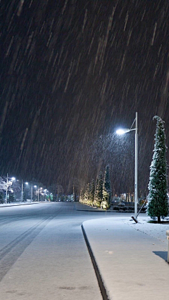 宁馨郁金香采集到冰雪世界——四季之冬季恋歌