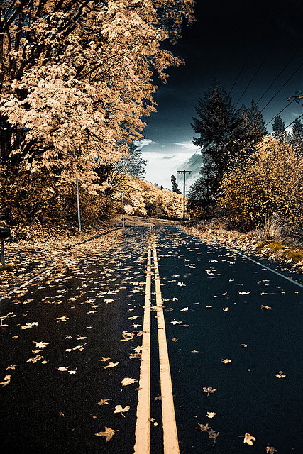 Autumn Road, Kent, W...