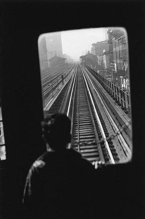 Elliott Erwitt - New...