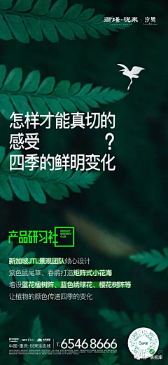 谁说我活的没创意采集到环境-地产价值