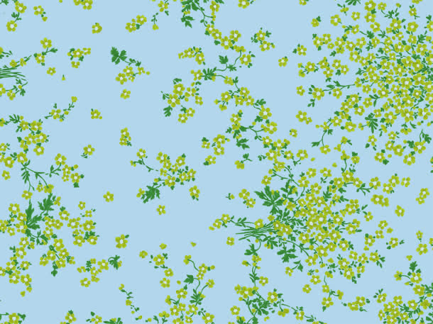 3cb7080af9f80a98a54349a562f61b9b9c8437c7176c5-XpNr41