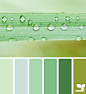 Design Seeds® | find your palette