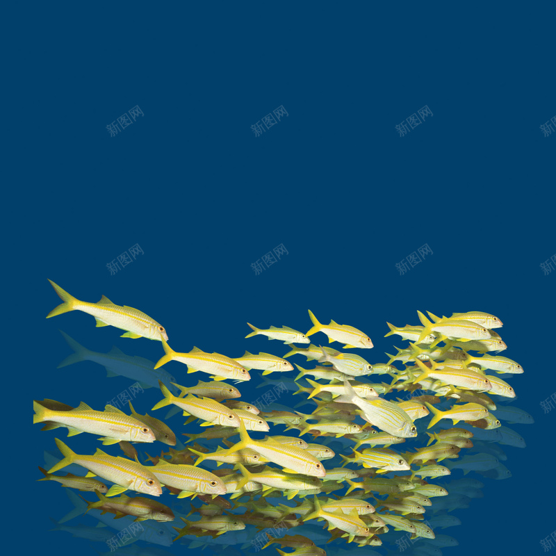 3ccbf247ecf994bf02ff7e209876d7a7217019be31976-69VGEy