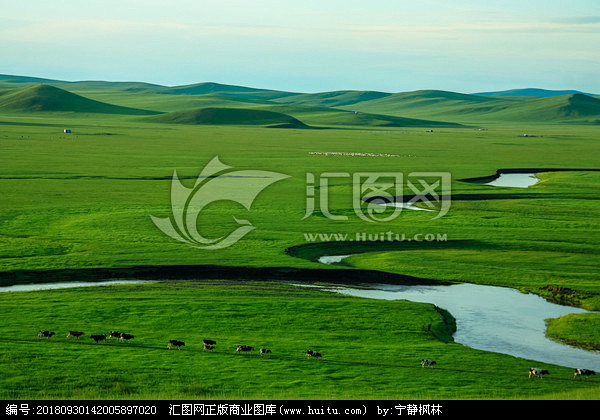 草原夏季牛群河流羊群