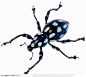 昆虫世界-蓝色斑点的甲虫