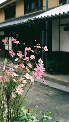 蝉鸣223采集到日式场景