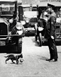 maya47000:

It was a sunny summer afternoon, July 29, 1925. Harry Warnecke, a photographer for the New York News, got a phone tip that a cat trying to carry its kittens home was tying up traffic because a policeman had stopped the cars on a busy street (C