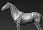 horse, A_ models : finished head and body sculpt
