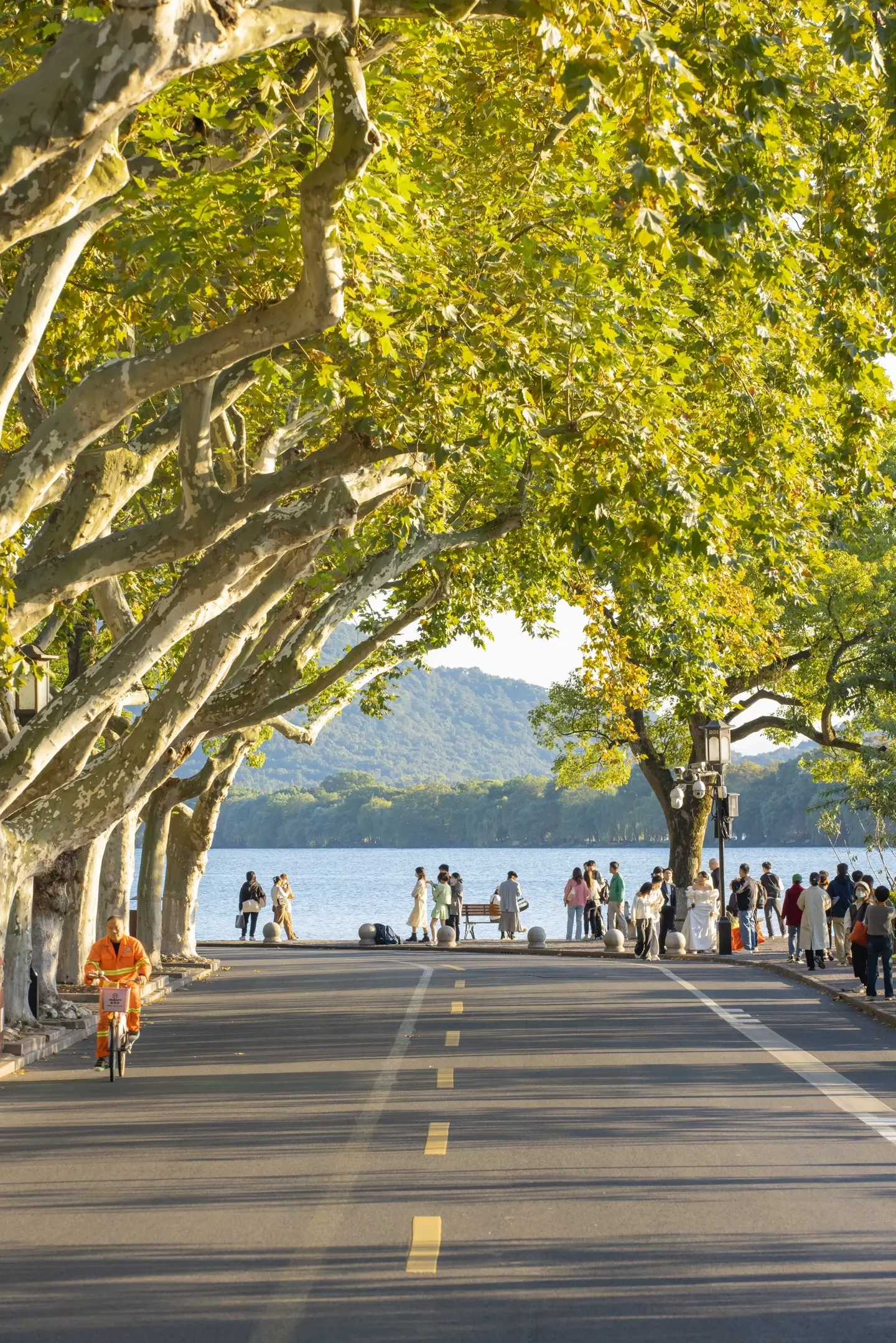 3d087e42e0448c7fae1fa0a39eeb4a0355c1aa7c399c74-cSDLy0