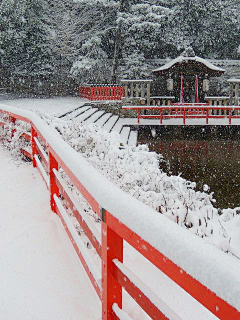 雪峰之灵采集到唯美