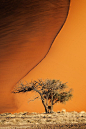 sublim-ature:

Namib Desert, NamibiaMarina Sorokina