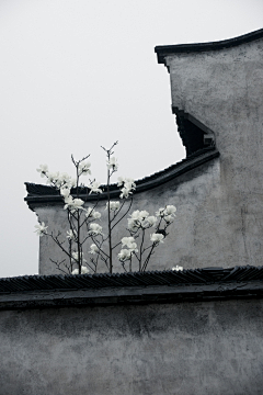 名姜采集到风景