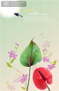 韩国鲜花背景（五）#韩国##鲜花##背景##小鸟##红掌##花朵##暗纹##植物#