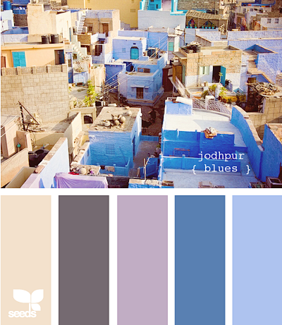 jodhpur blues