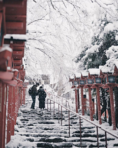 水淡木燃采集到风景