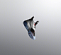 Air Jordan XXXIII
       ——乔丹第三十三代签名鞋正式发布
全新的AJ33代签名鞋整体设计来自于太空宇航服，首次采用了名为FastFit的快速绑缚系统，单手一提或一拉就可以完成鞋面收紧或松开的动作，这也是第一双没有传统系带系统的AJ签名鞋。（2048 x 1866）