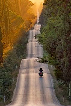 J大马哈鱼采集到道路/path