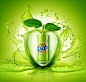 FANTA GREEN APPLE : Fanta Green Apple, coming from the heart core of the real green apple.FP7 Cairo - Marwan Younes, Amr Younes, Khalil El Shorbagy