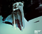 speedpaint - ice king, Alex Figini : personal work