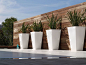 Contemporary Cubico planters in white! Very sleek!