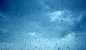 rain on glass - Wallpaper (#269158) / Wallbase.cc