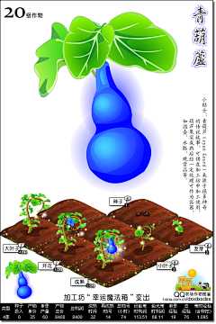 Vulpes12138采集到植物