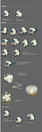 fiche animation sprites dofus